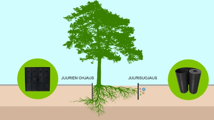 Juurisuojaus ja juurien ohjaus