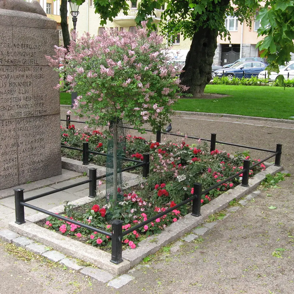 HAVA7070380_2.webp