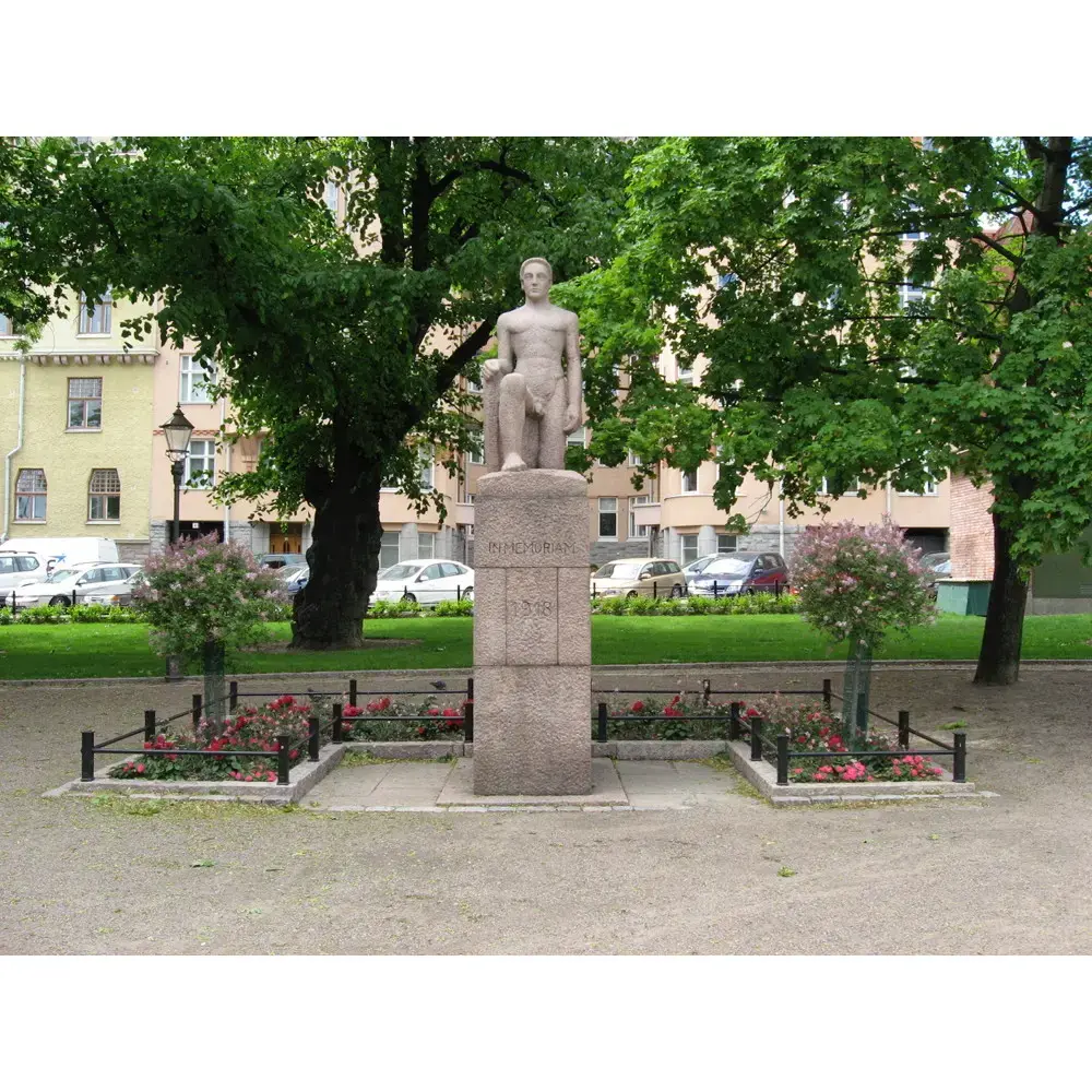 HAVA7070380_1.webp