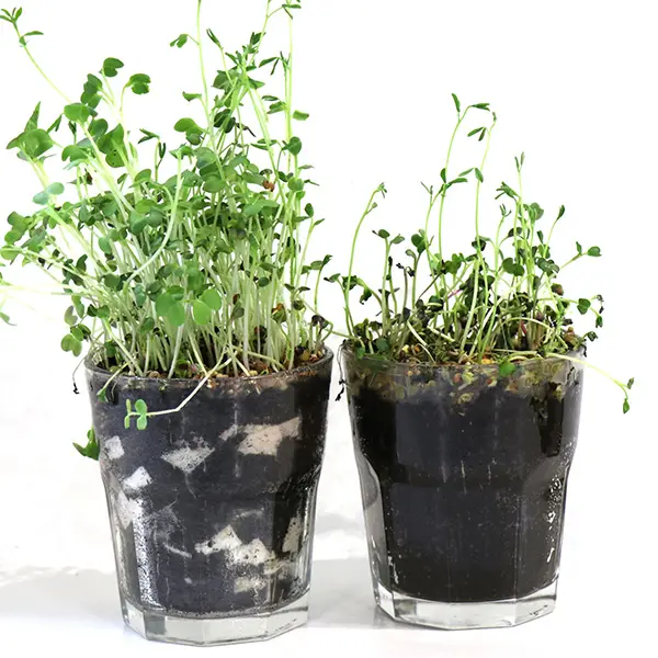[10031] Kastelukuutio Lite-Cubes Bio5 valkoinen 250l